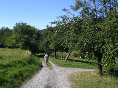 wege1001