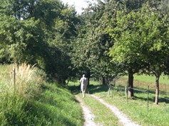 wege1002