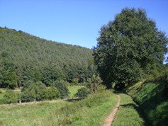 wege1003