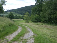 wege1004