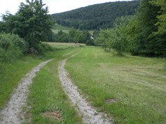 wege1005