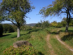 wege1007