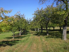 wege1008