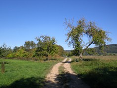 wege1011