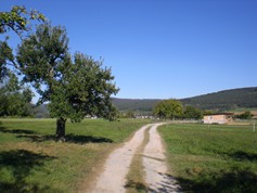 wege1012