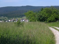 wege1015