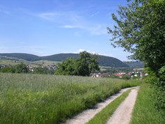 wege1018