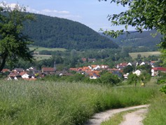 wege1019