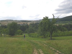 wege1027