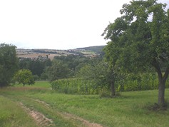 wege1029