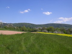 wege1030
