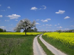 wege1031