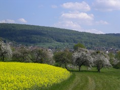 wege1032