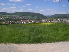 wege1035