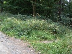 wege1037