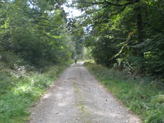 wege1038
