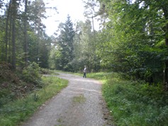 wege1041