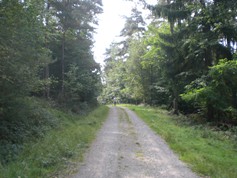 wege1044