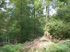 wege1046