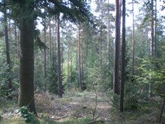 wege1048