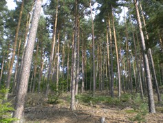 wege1052