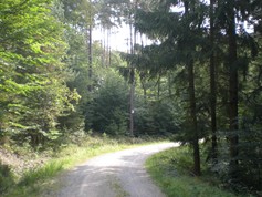 wege1054