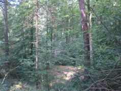 wege1056