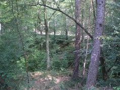 wege1057