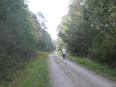 wege1060