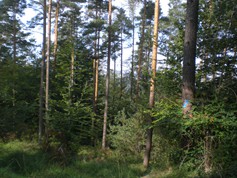 wege1061