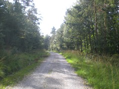 wege1064