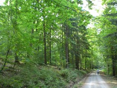 wege1071
