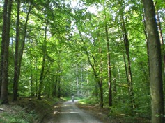 wege1072