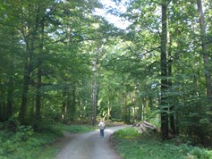 wege1073