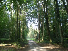 wege1074