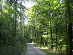 wege1075