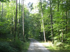 wege1076