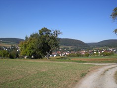 wege1079