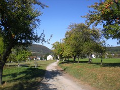 wege1082
