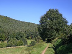 wege1083