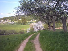 wege1087