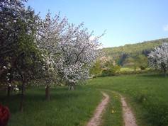 wege1089