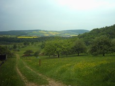 wege1090