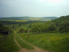 wege1095