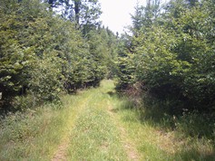 wege1097