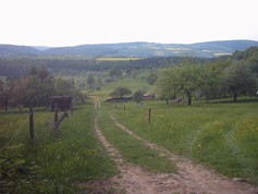 wege1099