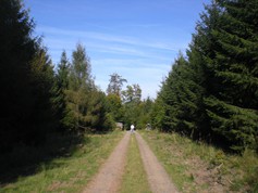 wege1103