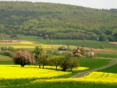 wege1105