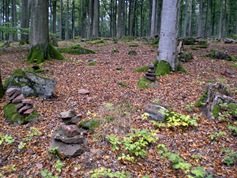 heppe7201