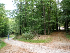 heppe7269